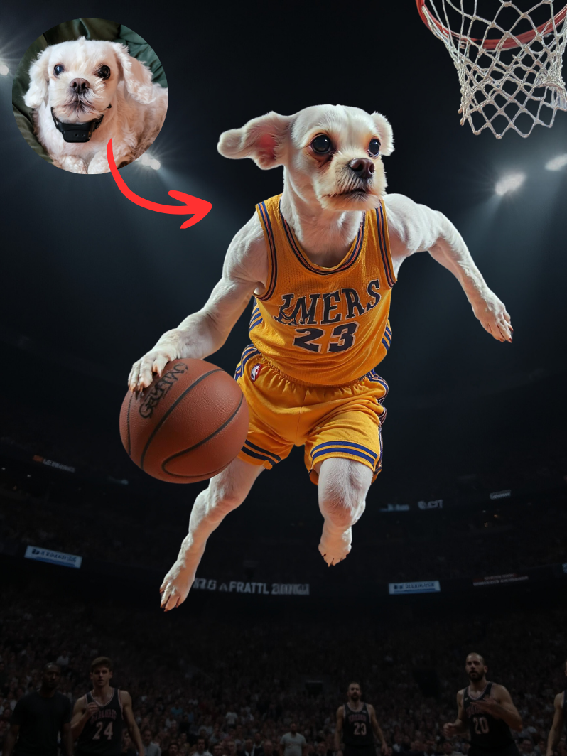 Basketballer