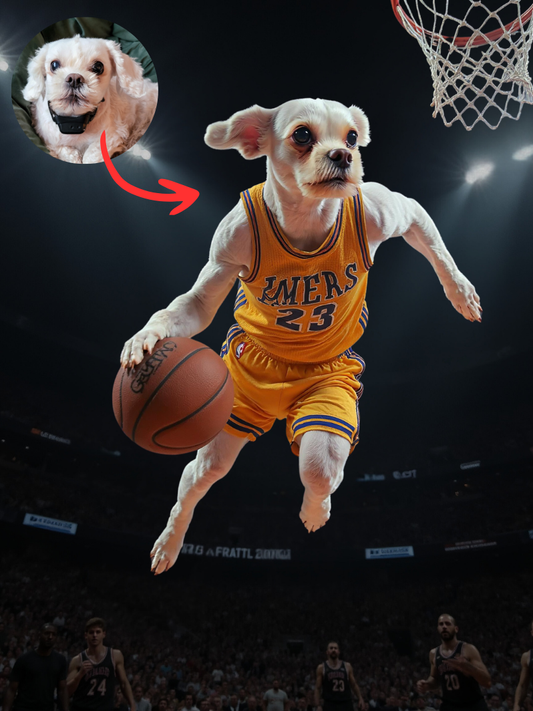 Basketballer