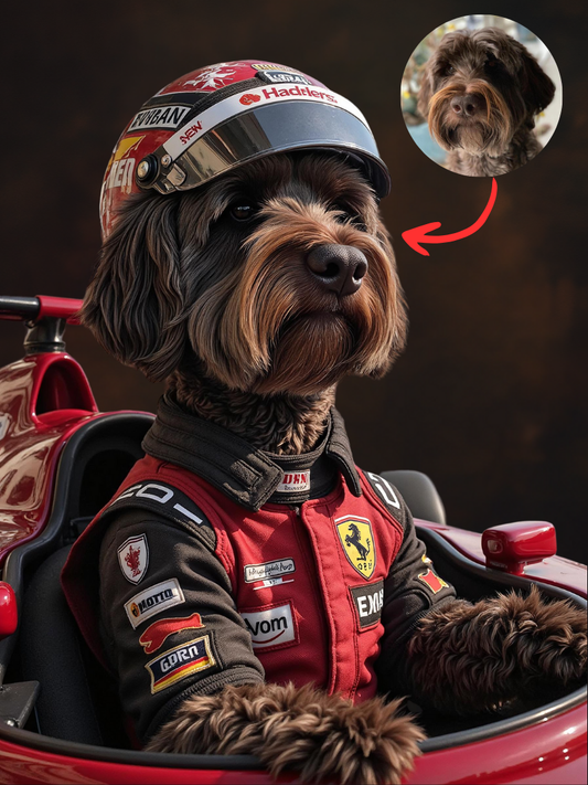F1 Coureur